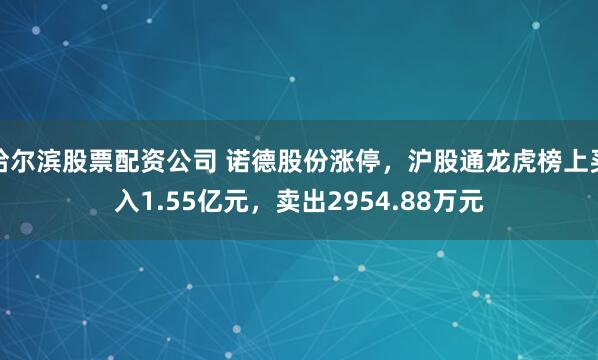 哈尔滨股票配资公司 诺德股份涨停，沪股通龙虎榜上买入1.55亿元，卖出2954.88万元