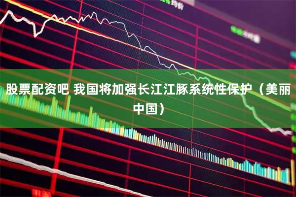 股票配资吧 我国将加强长江江豚系统性保护（美丽中国）