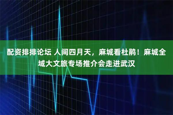 配资排排论坛 人间四月天，麻城看杜鹃！麻城全域大文旅专场推介会走进武汉